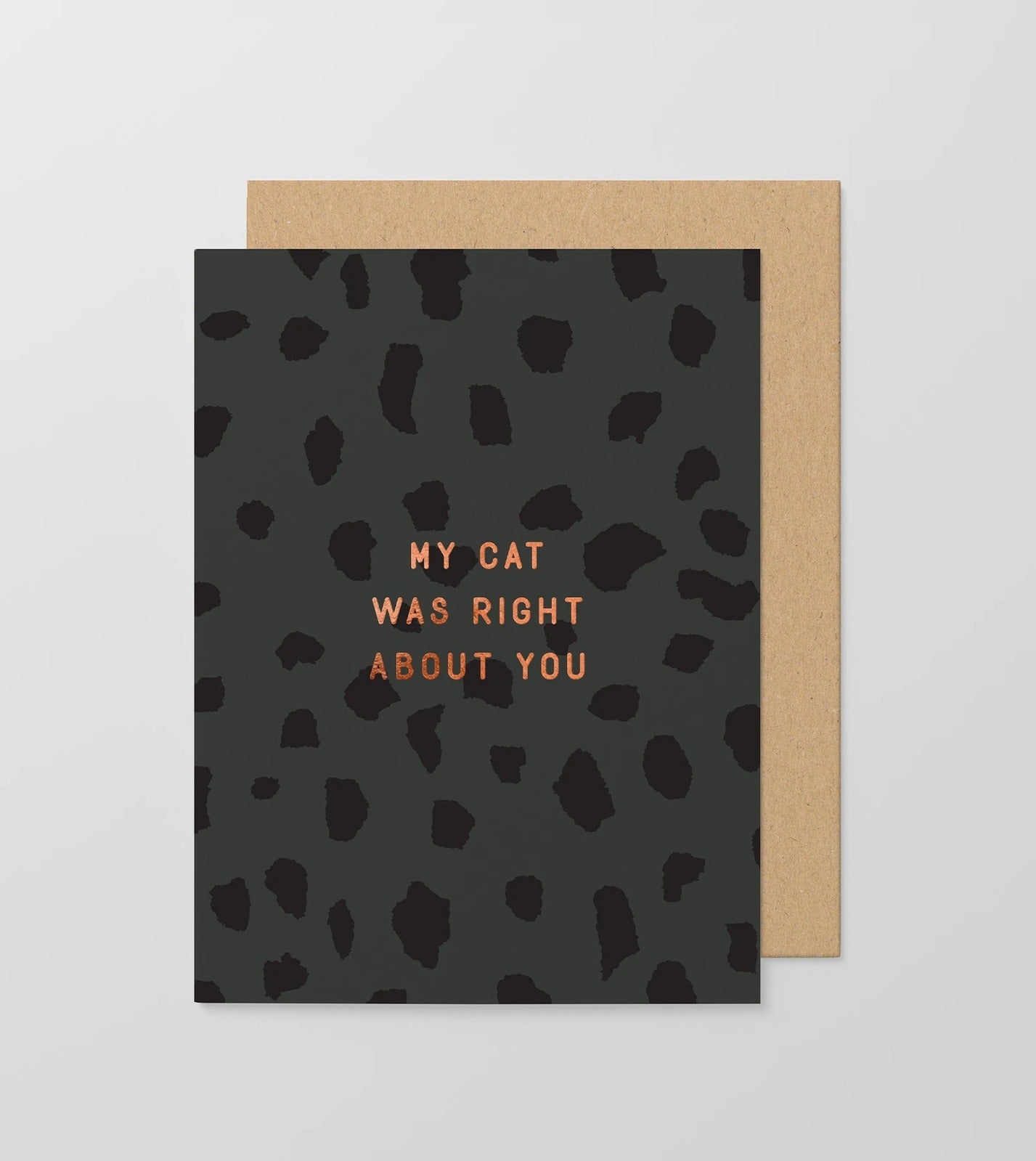 My Cat Was Right About You Small Card